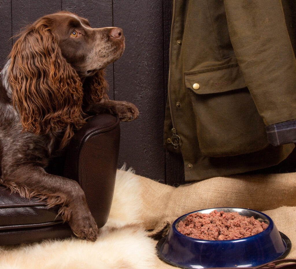 Hundfoder-naset-leverans